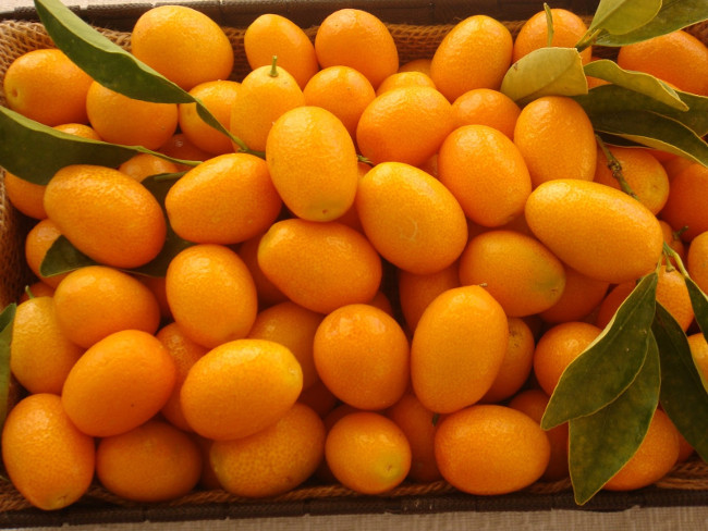 8 loại quả nên bổ sung cho cơ thể vào mùa đông này