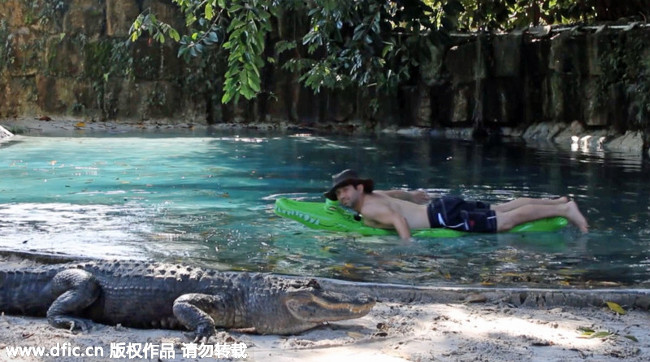 Bơi cùng cá sấu 