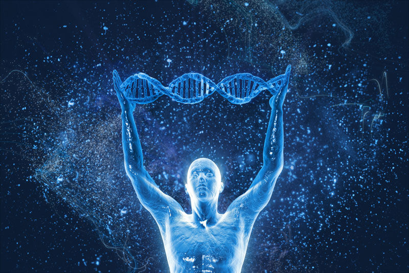 Một người làm thế nào mà lại có 2 DNA?  Một người làm thế nào mà lại có 2 DNA?
