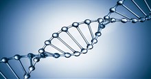 Mang 2 DNA trong cơ thể, cái giá đắt phải trả để chiến thắng bệnh ung thư máu