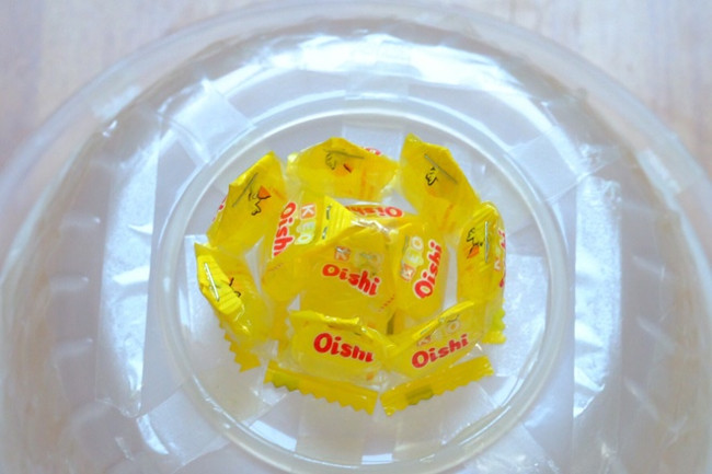 Gắn kẹo thành từng hàng tạo hình cánh hoa 