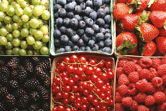 Các loại quả mọng  Các loại quả mọng