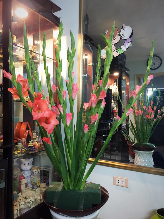 Cắm lần lượt hoa từ trong ra ngoài  Cắm lần lượt hoa từ trong ra ngoài