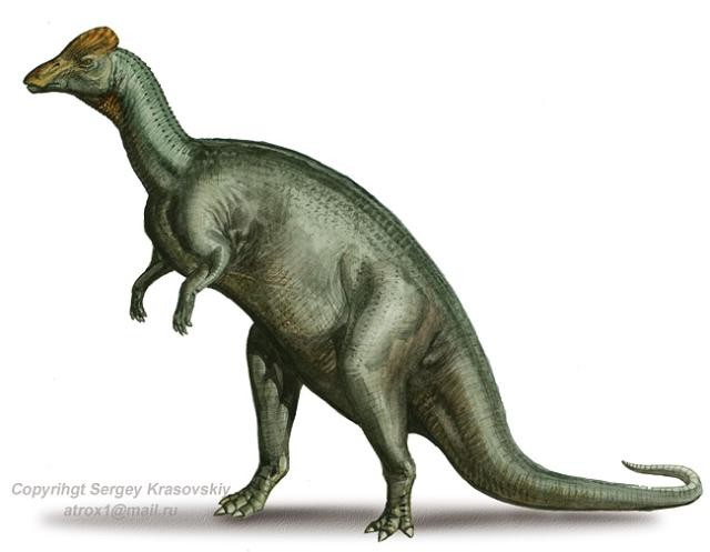 Loài HyLpacrosaurus