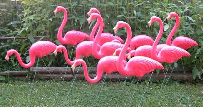 Plastic flamingos