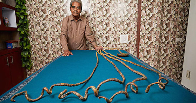 Bộ móng tay dài nhất thế giới Bộ móng tay dài nhất thế giới