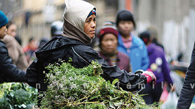 Khi mùi già thì đem đi bán  Khi mùi già thì đem đi bán