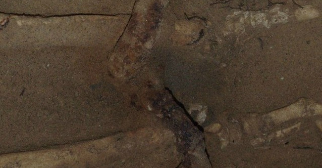 Bộ xương của nô lệ Bộ xương của nô lệ