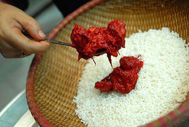 Trộn đều thịt gấc vào gạo nếp Trộn đều thịt gấc vào gạo nếp