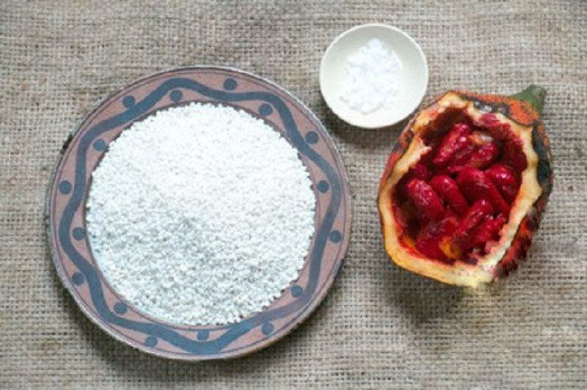 Gạo nếp và gấc  Gạo nếp và gấc