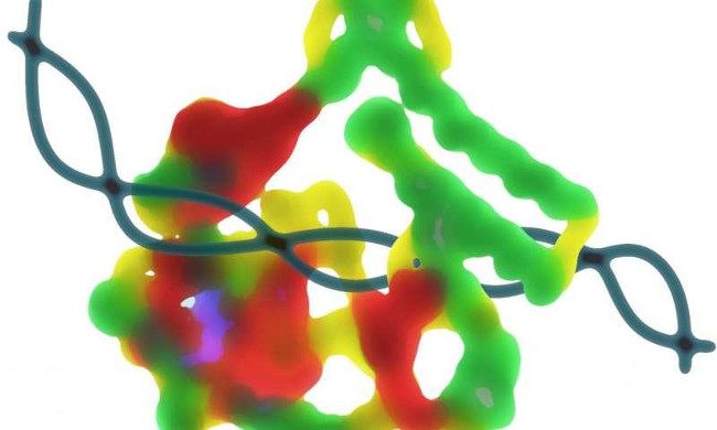 Hợp chất có trong ớt đỏ có thể giúp ngăn ngừa nguy cơ đột quỵ