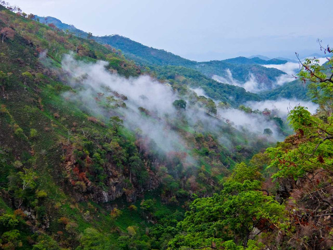 Dừng chân tại Nuwara Eliya Dừng chân tại Nuwara Eliya