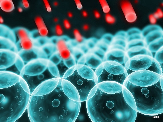 Trong hạt tiêu có chất hóa học có tên là Piperlongumine  Trong hạt tiêu có chất hóa học có tên là Piperlongumine