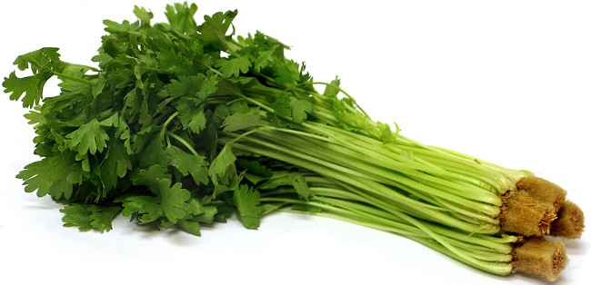 Cần tây