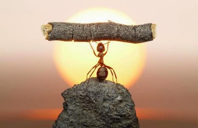 Giới hạn sự hiểu biết và nhận thức