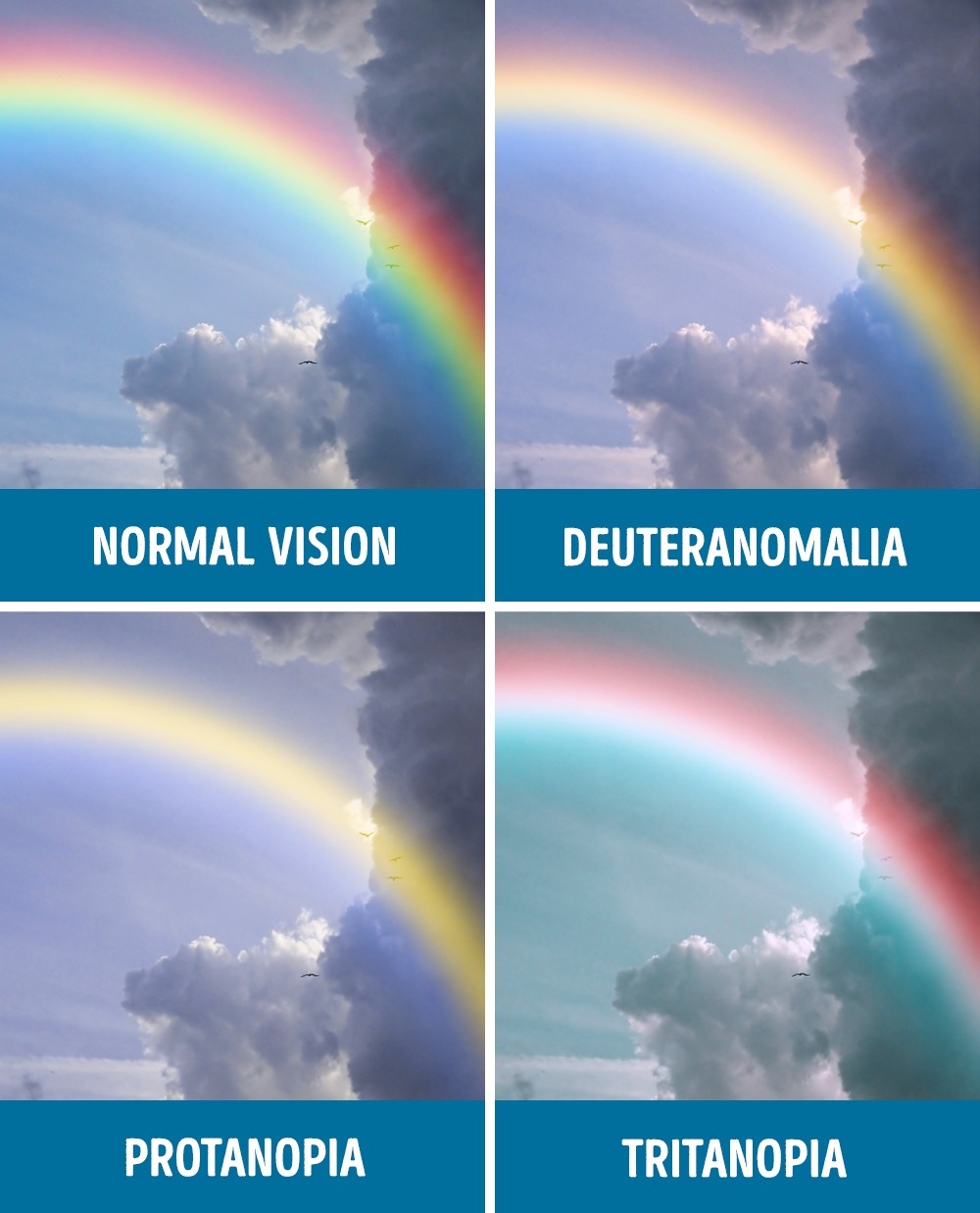 Màu sắc của cầu vồng