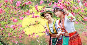 Những lễ hội, địa điểm du xuân đầu năm nổi tiếng ở Việt Nam không nên bỏ qua