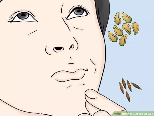 Nhai một vài loại hạt