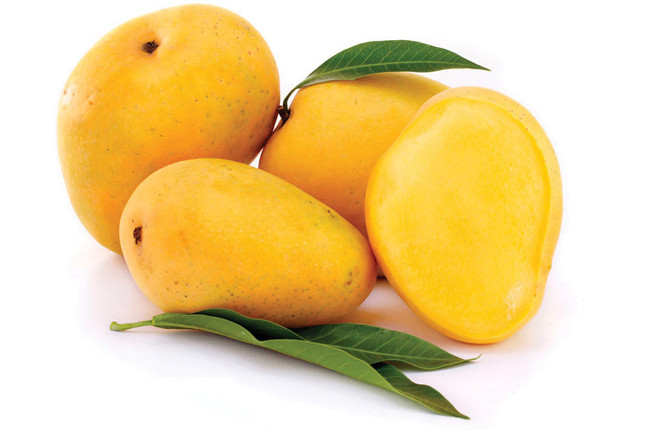 Chọn quả chín và đẹp mắt Chọn quả chín và đẹp mắt