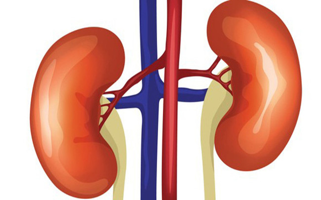 Các bệnh về thận