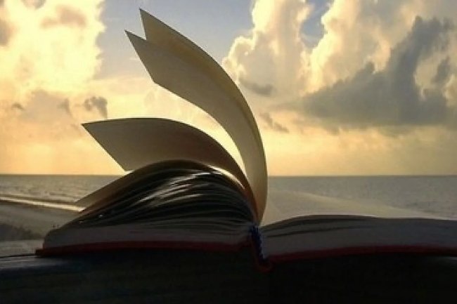 Đọc một thứ gì đó Đọc một thứ gì đó