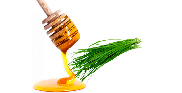 Chữa ho bằng lá hẹ và mật ong 