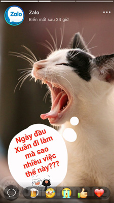 Zalo trên iOS
