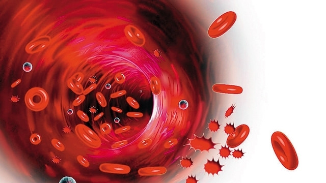 Thay đổi protein trong ruột ngăn ngừa phát triển viêm ruột và ung thư ruột kết