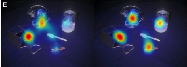 Người tự kỷ chỉ hướng sự tập trung của mình vào 2 vật duy nhất trong bức hình