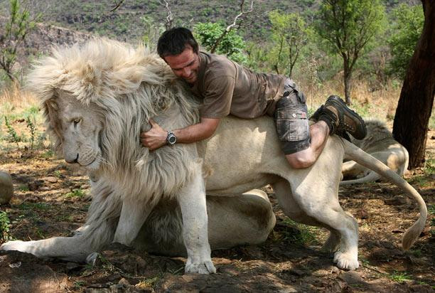 Kevin Richardson chơi đùa với sư tử 
