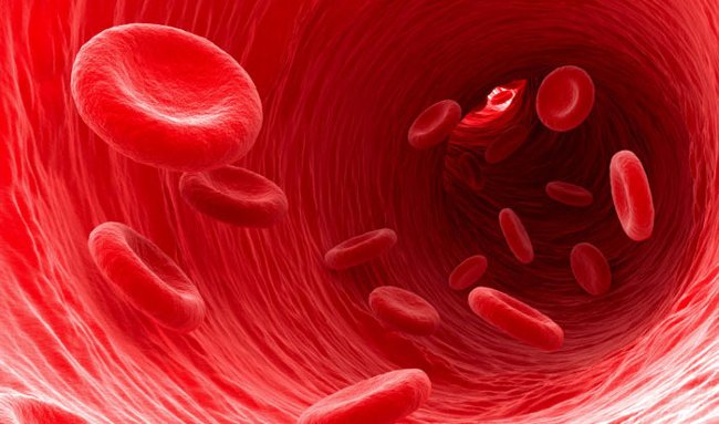 Giảm nguy cơ mắc bệnh tim Giảm nguy cơ mắc bệnh tim