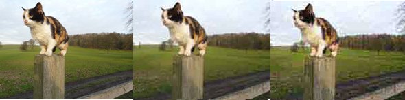 Hình ảnh khi nén Lossy