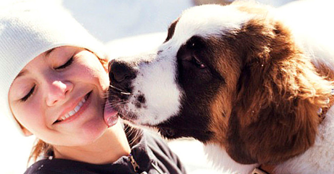 Chó hay đánh hơi người quen của chủ   Chó hay đánh hơi người quen của chủ