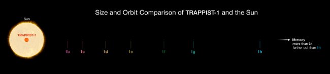 So sánh hệ sao Trappist-1 và hệ Mặt Trời