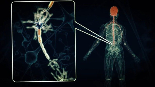 Chất độc nhất thế giới 