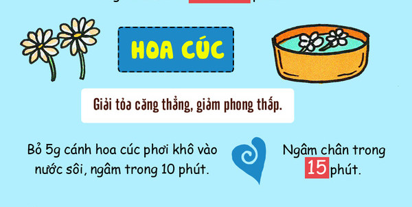 Hoa cúc giúp bạn thư giãn