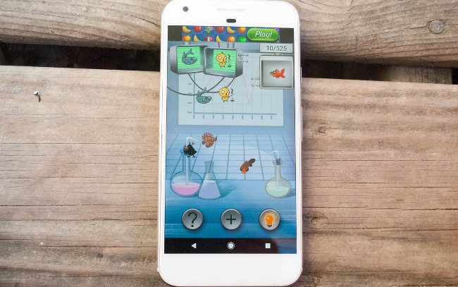 Alchemy - Genetics Alchemy - Genetics