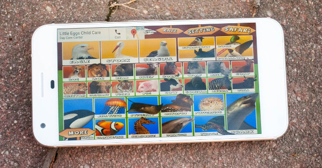 Animal Kingdom Science for Kids Animal Kingdom Science for Kids