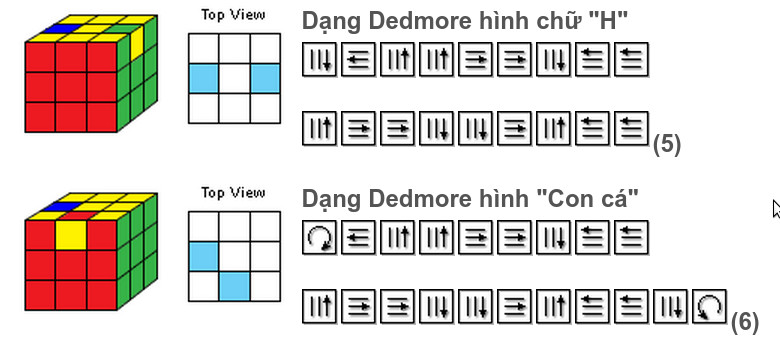 Định hướng các viên cạnh