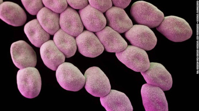 Siêu vi khuẩn Acinetobacter baumannii đứng đầu danh sách