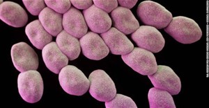 3 siêu vi khuẩn kháng kháng sinh gần như không còn loại thuốc nào để điều trị