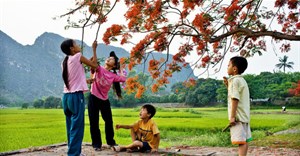 Cách làm mát nhà, làm mát cơ thể trong ngày hè nóng nực