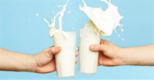 10 lợi ích tuyệt vời từ việc uống sữa mỗi ngày