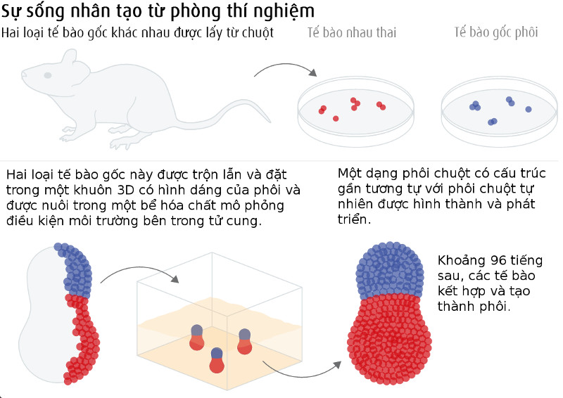 Sự sống nhân tạo từ phòng thí nghiệm 