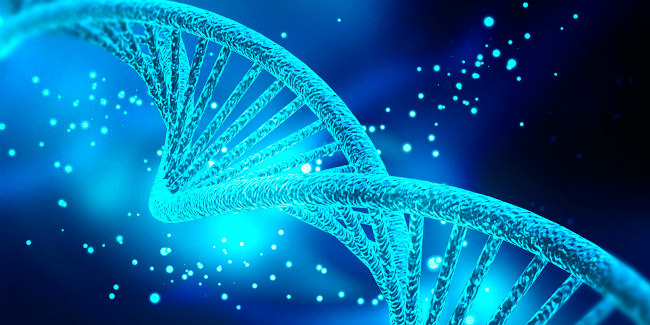 Biến thể gen di truyền gen Ifitm3 còn có khả năng kháng được một số virus khác Biến thể gen di truyền gen Ifitm3 còn có khả năng kháng được một số virus khác