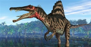 10 loài khủng long ăn thịt nguy hiểm nhất thời tiền sử