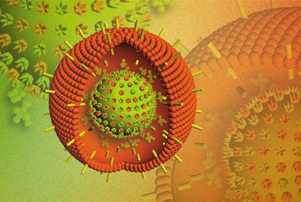 Vi khuẩn Prebiotics