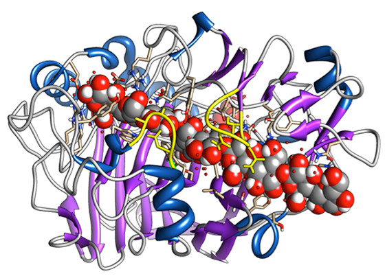 Enzyme có khả năng phân hủy lượng cholesterol độc trong não