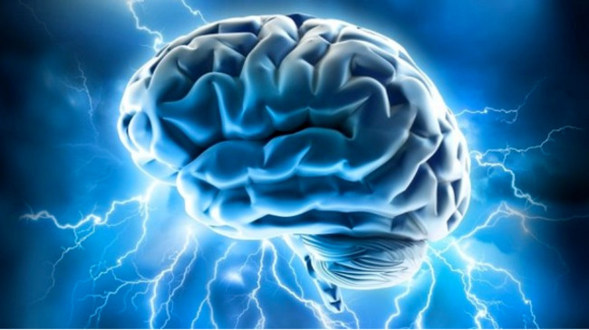 Enzyme CYP46A1 có khả năng loại bỏ cholestanol ở rất nhiều vùng