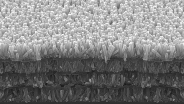 Cấu trúc của răng ở mức độ vi mô 